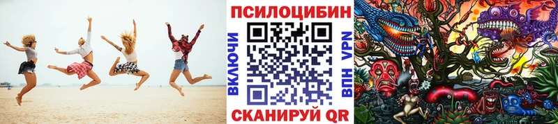 Псилоцибиновые грибы мицелий  hydra как войти  Мирный 